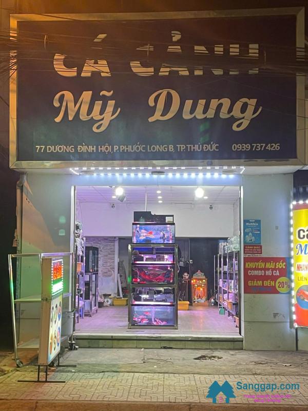 Sang Nhượng Tiệm Cá Cảnh Ở Dương Đình Hội Quận 9