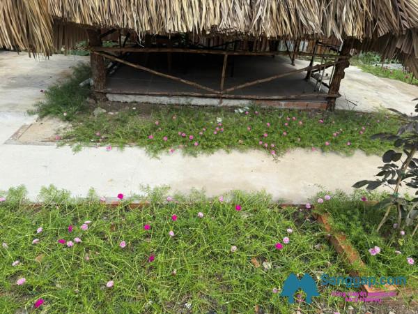 Sang quán ăn - nhậu