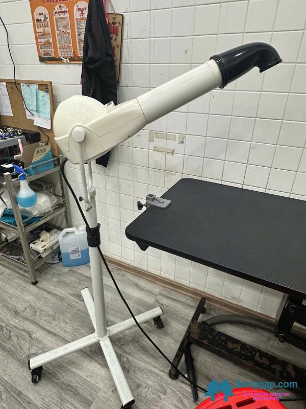 Sang cửa hàng thú nuôi